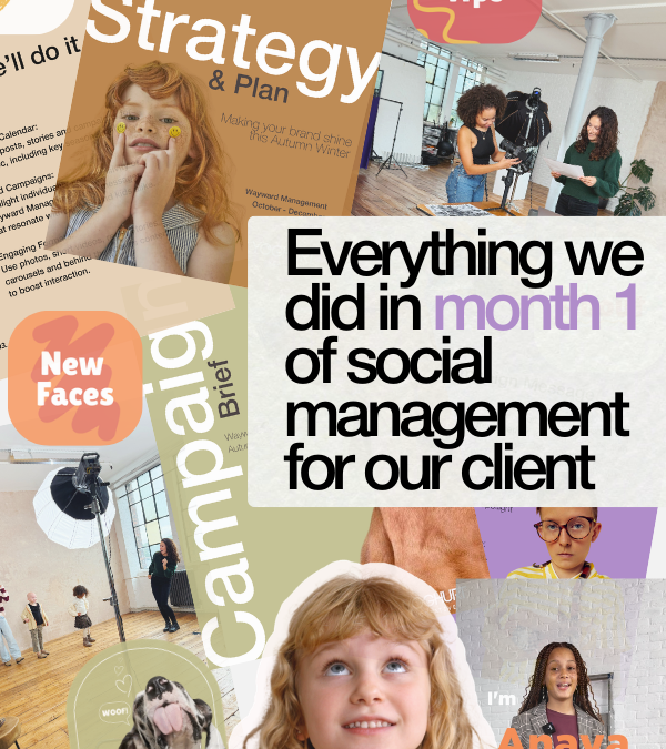 Social Media Management For Wayward